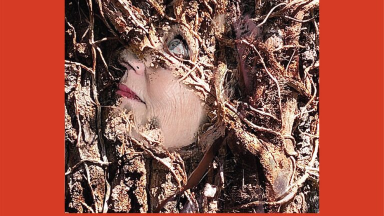 galerie de statenhoed