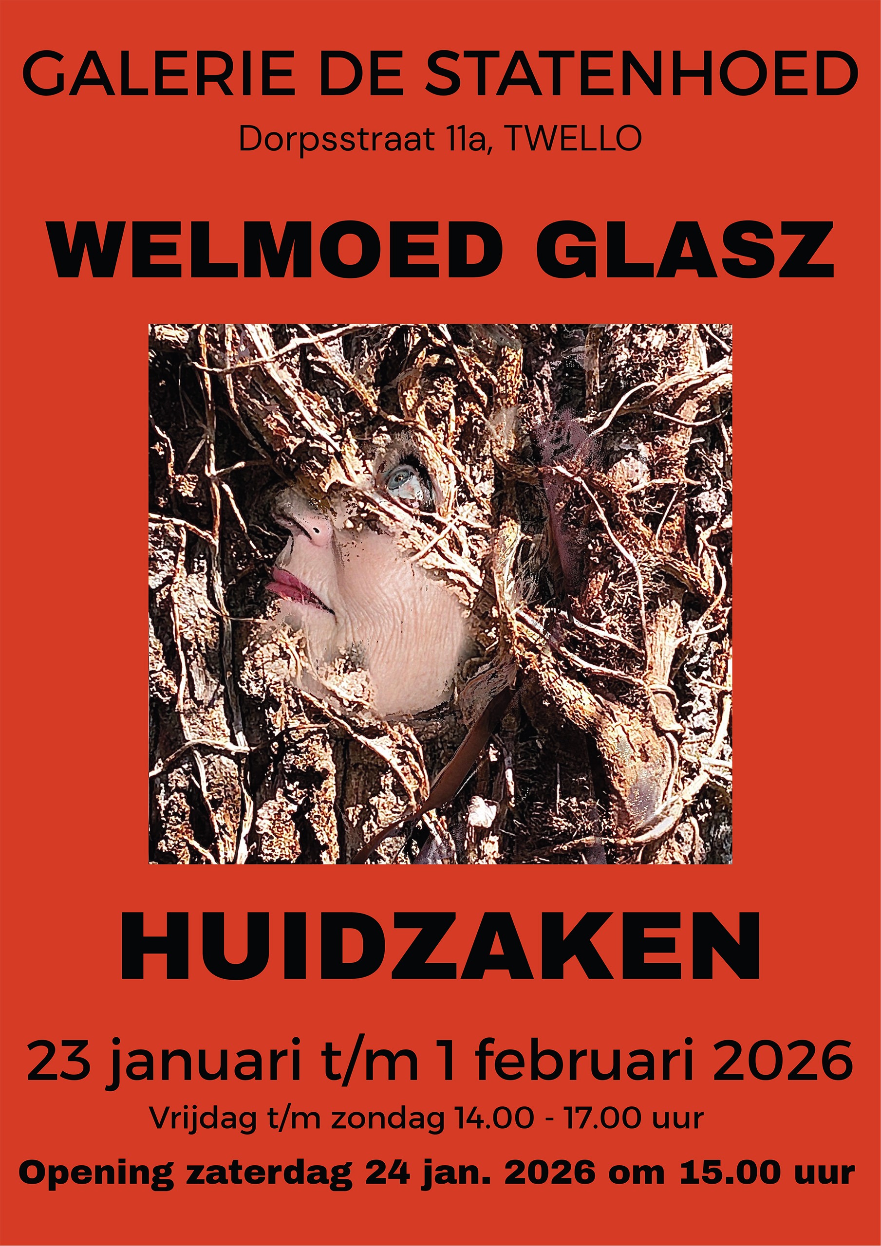 galerie de statenhoed