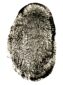 fingerprints