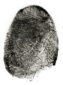 fingerprints
