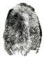 fingerprints