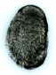 fingerprints
