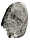 fingerprints