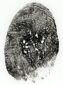 fingerprints